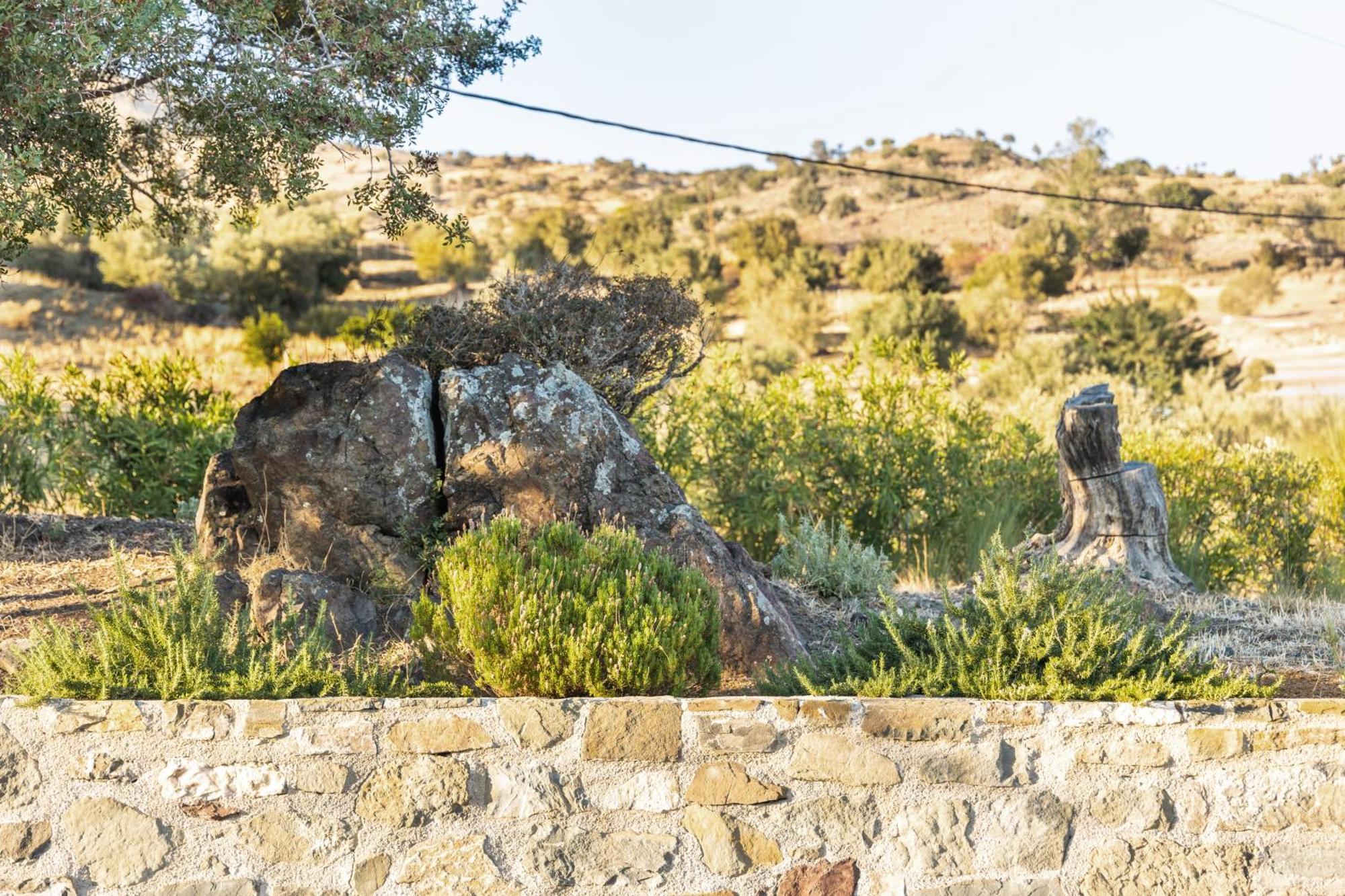 Evgoro Luxury Suites Agia Galini Extérieur photo